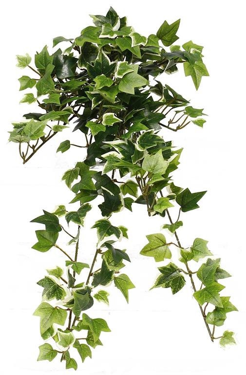 18 Artificial Needlepoint Mini Ivy Plant/Hanging Bush/Vine in Variegated GreenFaux IvyFake Ivy