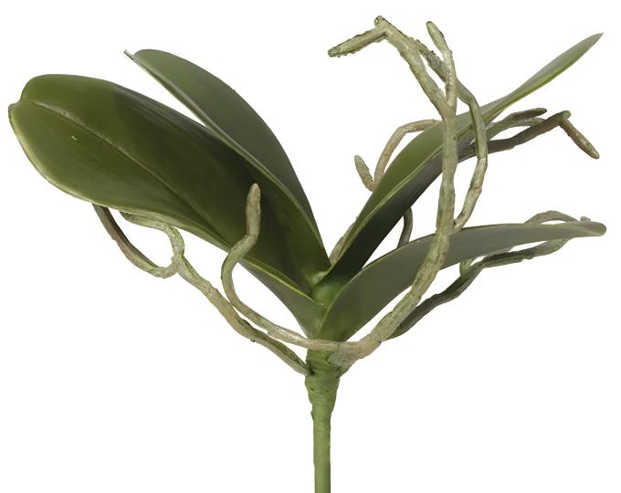Orchid Leaves on Stem with Realistic Bare Roots, Real Touch Foliage, Faux Orchid Greenery Stems