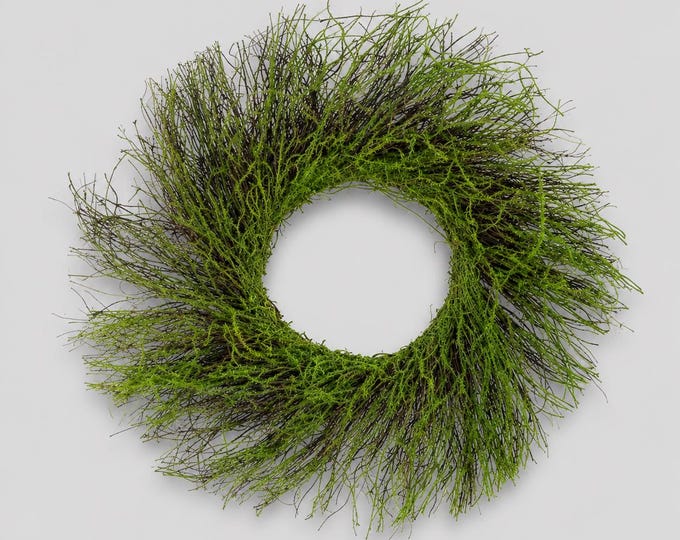 Rustic Twig and Moss Wreath - 16"