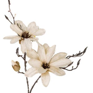 May include: A single stem of artificial magnolia flowers with two open blooms and one bud. The flowers are a creamy white color with brown centers. The stem is brown and has small leaves.