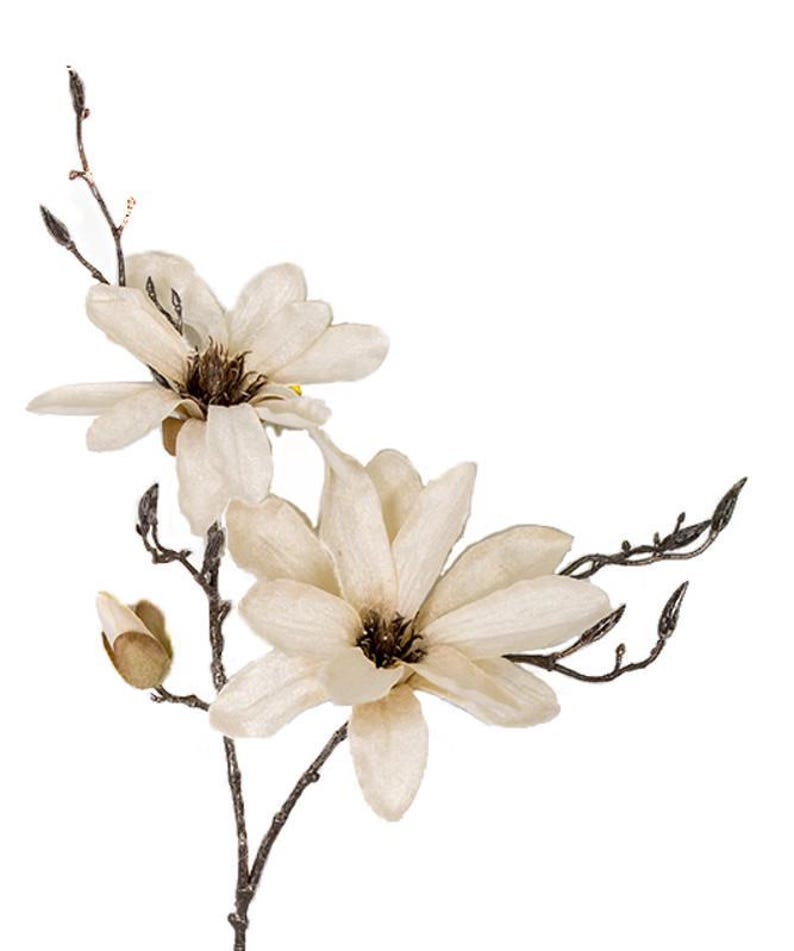 May include: A single stem of artificial magnolia flowers with two open blooms and one bud. The flowers are a creamy white color with brown centers. The stem is brown and has small leaves.