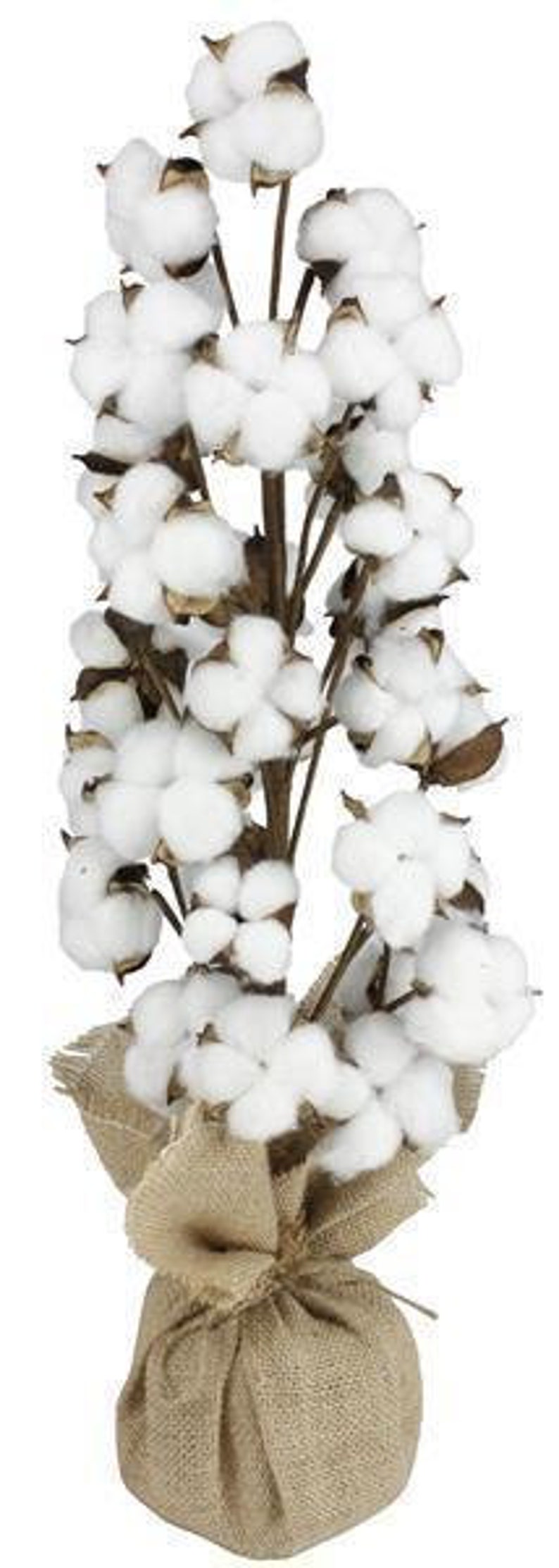 24 or 30H Tabletop Cotton Tree/Cotton Ball Tree in Etsy