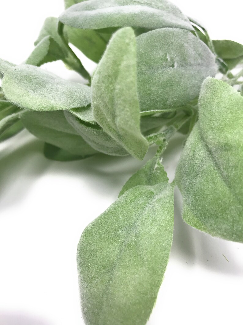27 Lambs Ear Greenery Spray/stem/sprayartificialsage Etsy