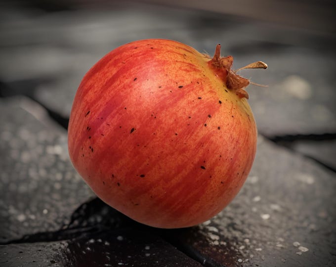 Artificial Pomegranate in Burgundy, Artificial Fruit for Kitchen Decor, Bowl Filler or Food Prop - 3.25"