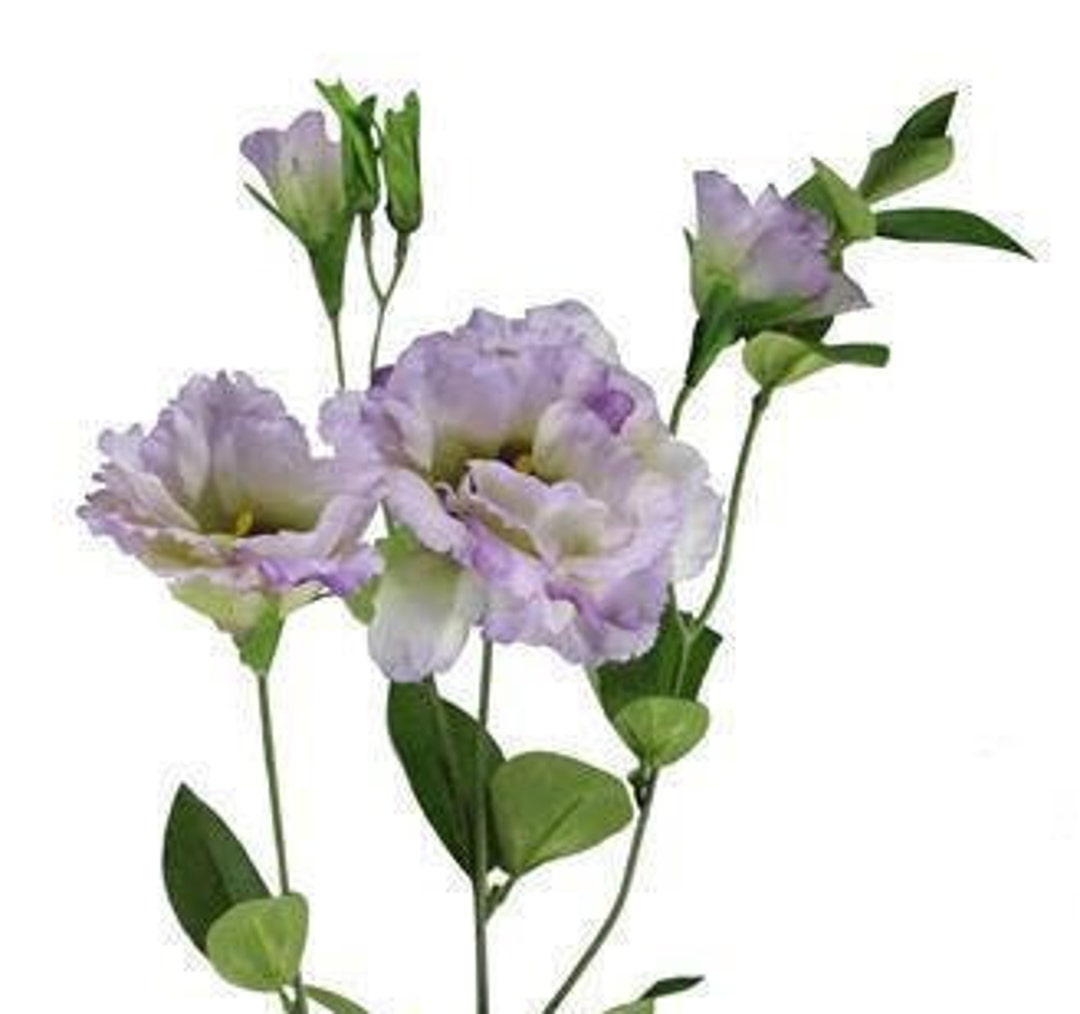 34 Artificial Faux Silk Lisianthus Flower Spray/stemvase Fillerwreath Supplyfloral Supply Etsy