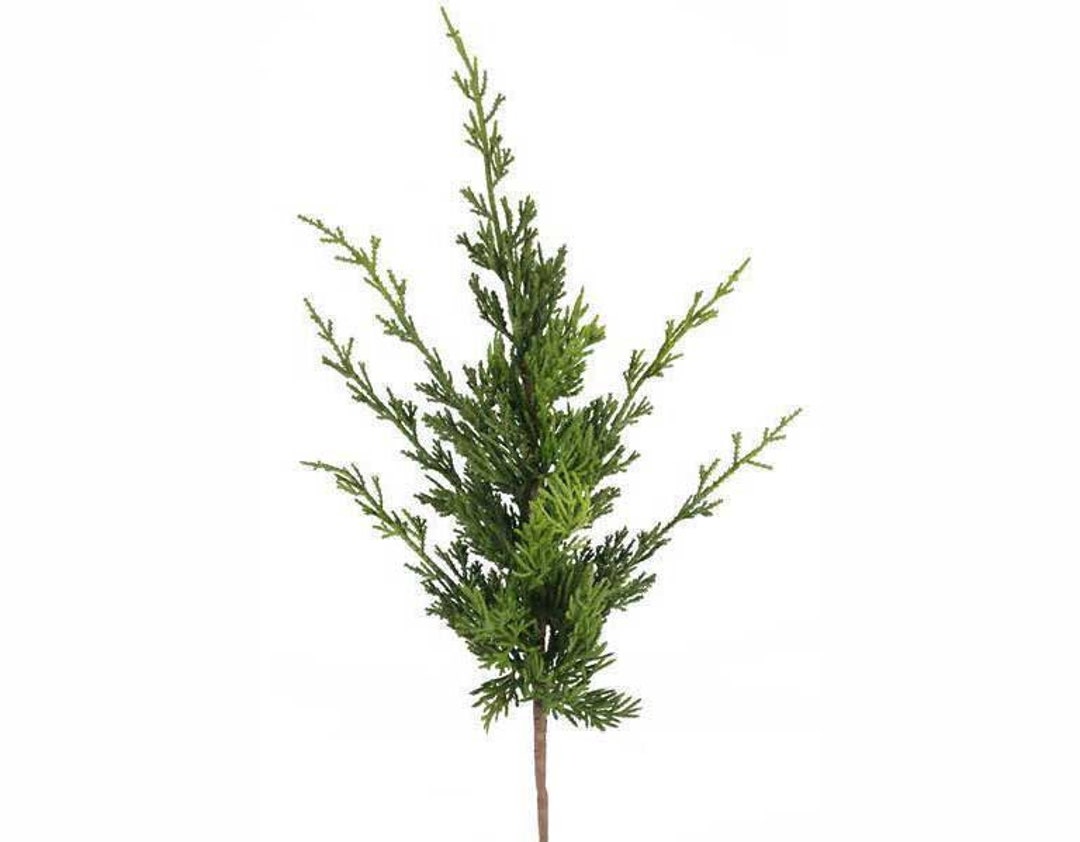 20 Faux Christmas Greenery Arborvitae Spray on Stem Etsy