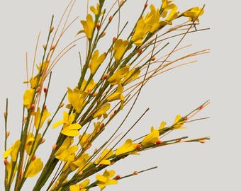 Artificial Forsythia Stems - 32"