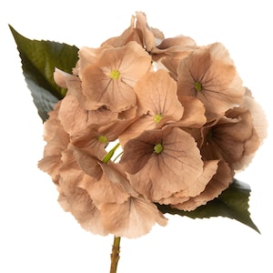 14&quot; Fall Hydrangea, Fall Stems, Light Brown Hydrangea Flower, Real Touch Flowers, Artificial Flower, Vase Filler