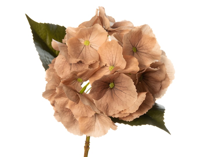 14" Fall Hydrangea, Fall Stems, Light Brown Hydrangea Flower, Real Touch Flowers, Artificial Flower, Vase Filler