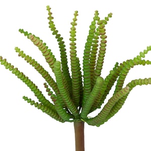 4.5&quot; Faux Crassula Plant, Artificial Succulent, Faux Succulent