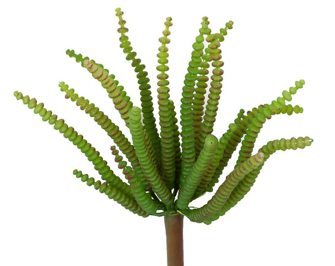 4.5" Faux Crassula Plant, Artificial Succulent, Faux Succulent