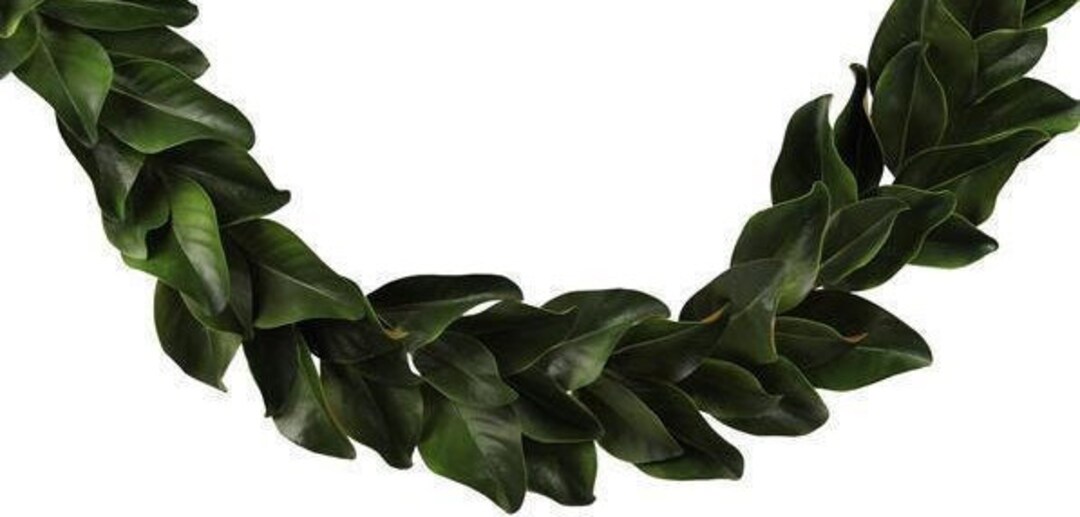55 Artificial Magnolia Leaf Garlandgreenery Garlandyear Round
