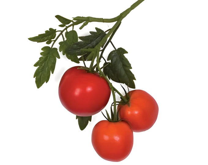 13" Artificial Tomato Plant on Stem