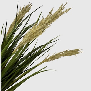 May include: Artificial ornamental grass featuring long, slender green leaves and tan seed heads. The faux plant has a natural appearance and is suitable for home decor. The image shows a close-up of the plant against a white background.