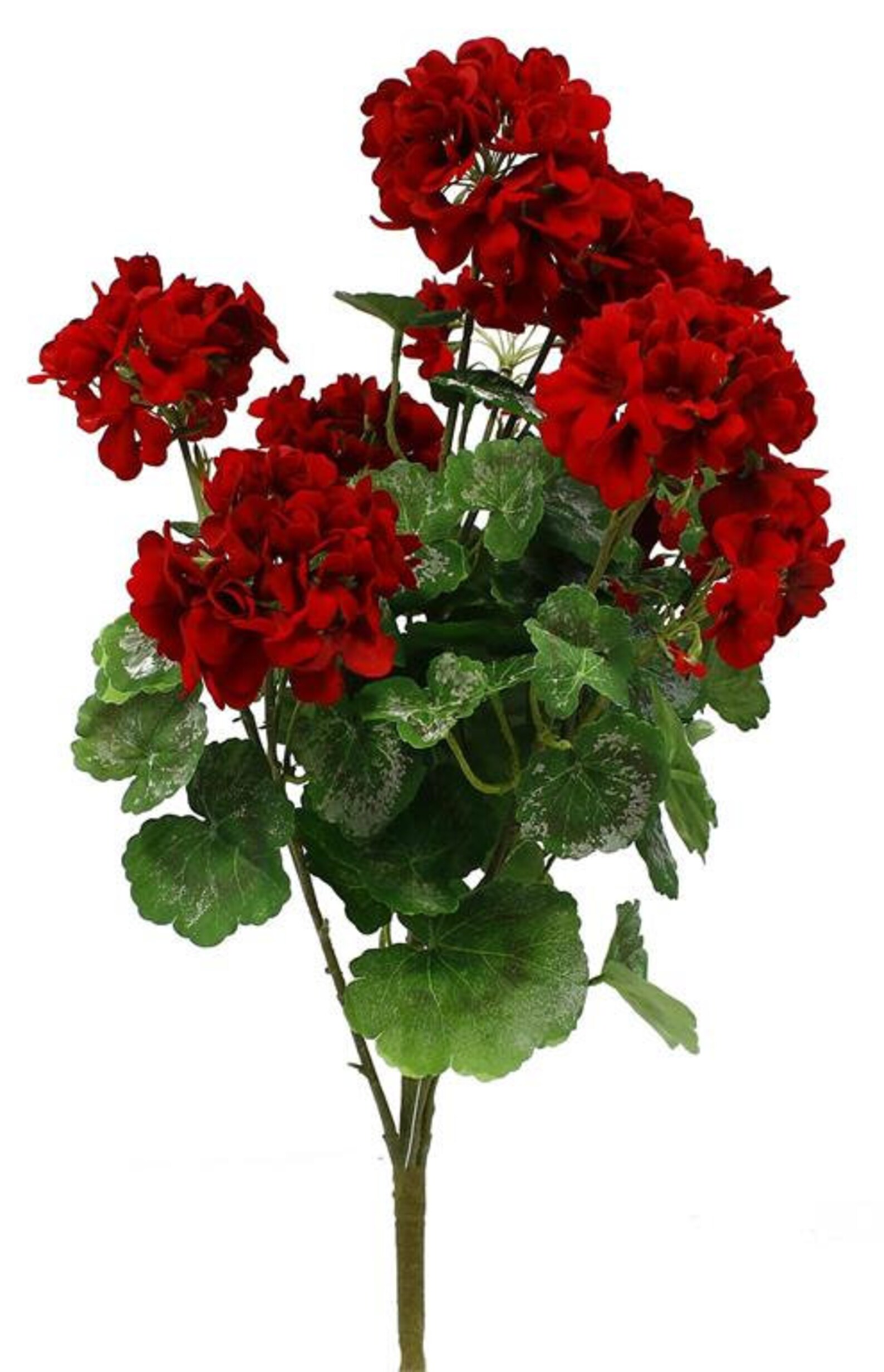 18 or 24 Artificial Geranium Bushgeranium Etsy