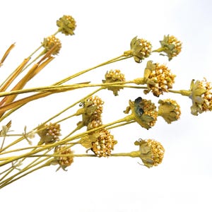 Fall Thistle and Grass Stems, Faux Autumn Floral Stems, Thanksgiving Decor, Fall Floral Arrangement - 26&quot;