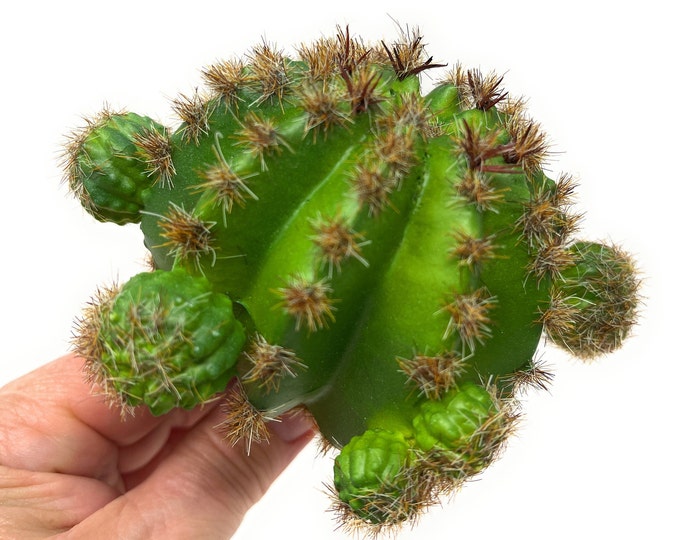 8" Faux Barrel Cactus on Stem with 3 Heads, Artificial Succulent, Floral Supply