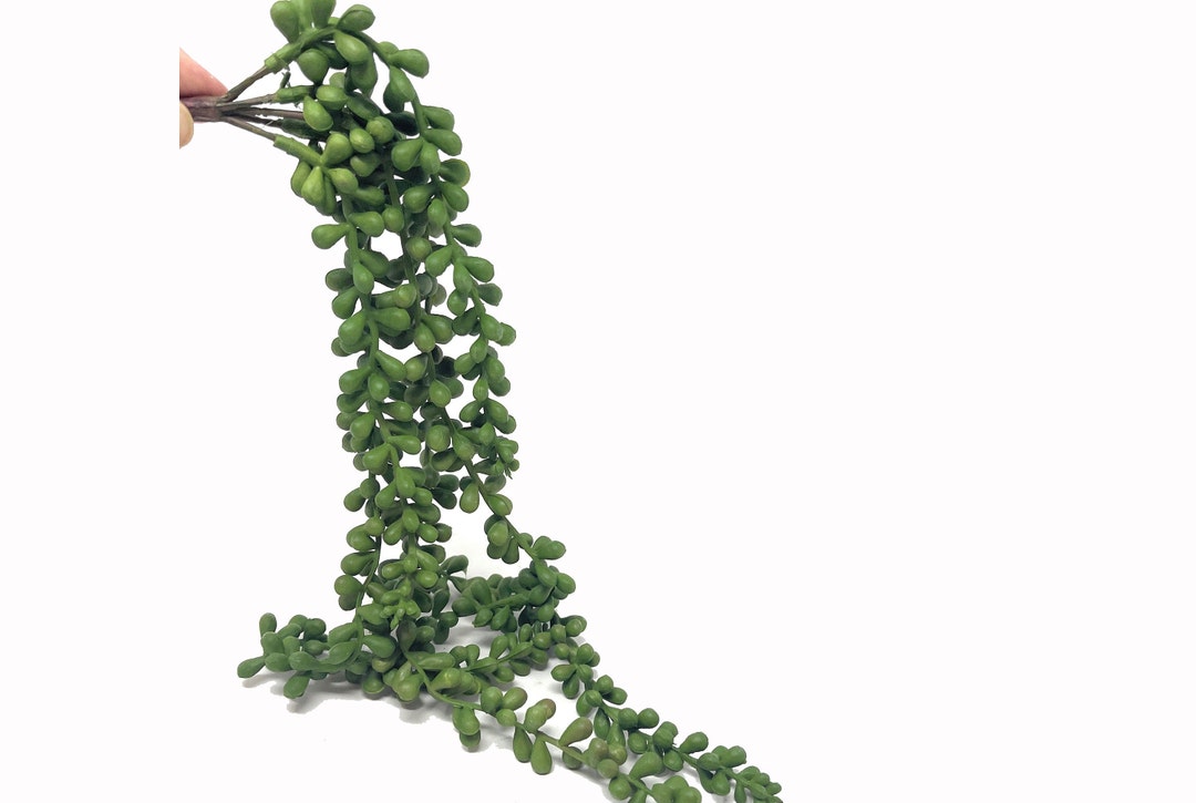 28 Artificial String of Pearls Planthanging Succulenttrailing