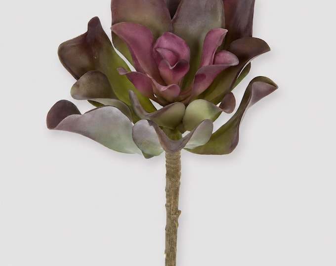 Artificial Echeveria Succulent Stem - Frosted Green and Burgundy Natural Touch Plant