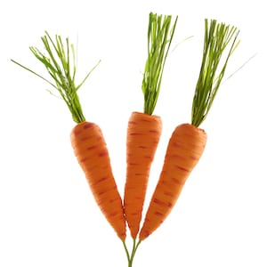 May include: Three orange carrots with green leafy tops against a white background. The carrots have a textured surface with darker orange streaks. The green tops are long and thin, resembling grass.