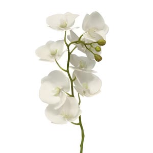 29&quot;L Faux White Real Touch Phalaenopsis Orchid Stem