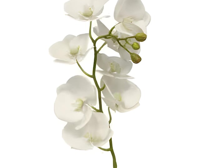 29"L Artificial Real Touch Phalaenopsis Orchid Stem-White-Faux Orchid Flower-Flower Stems-Tropical Flower-Floral Supplies-Floral Arranging