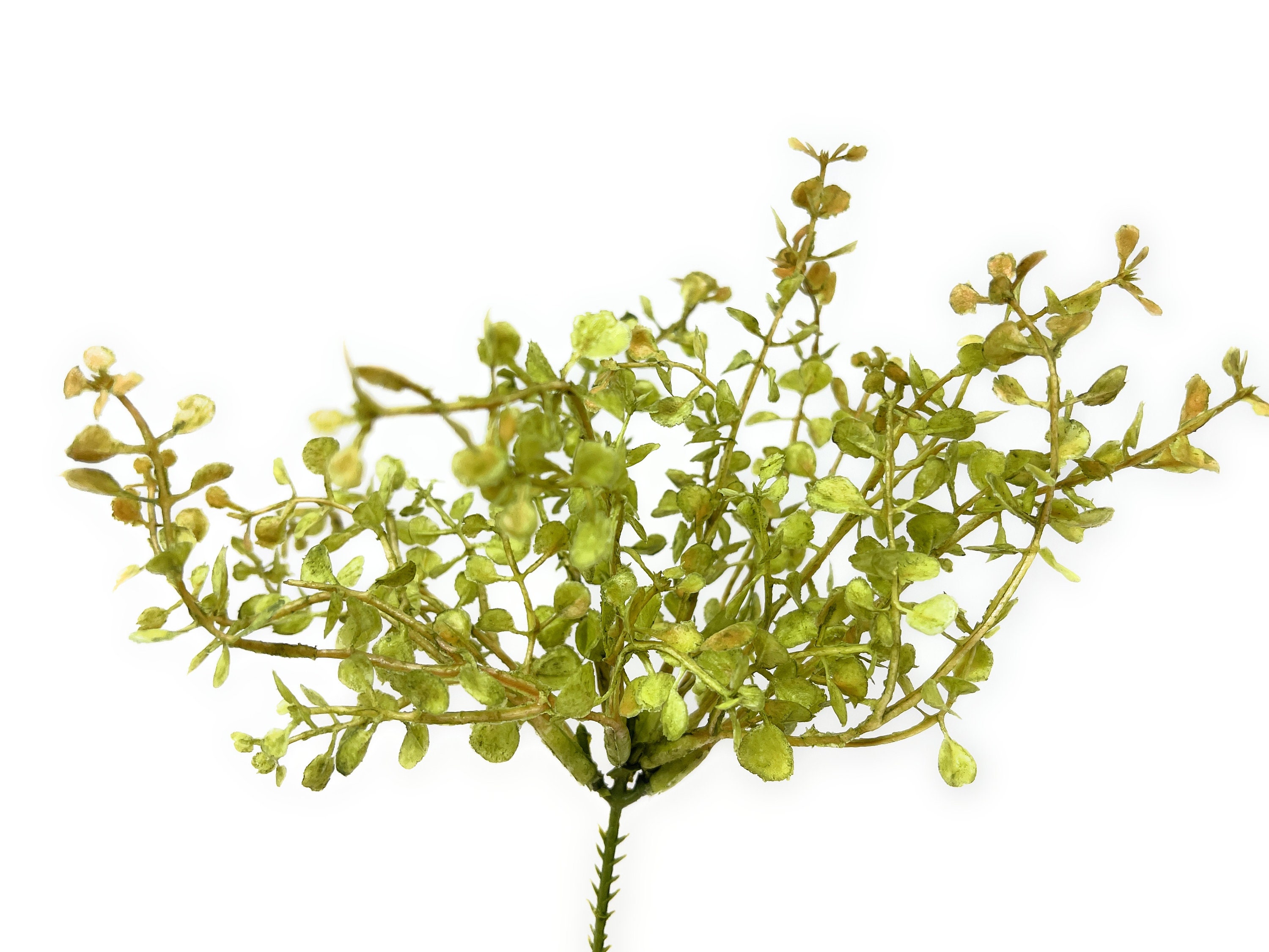 9 Artificial/Faux Greenery Grass Stem/Pick/Bush/PlantArtificial