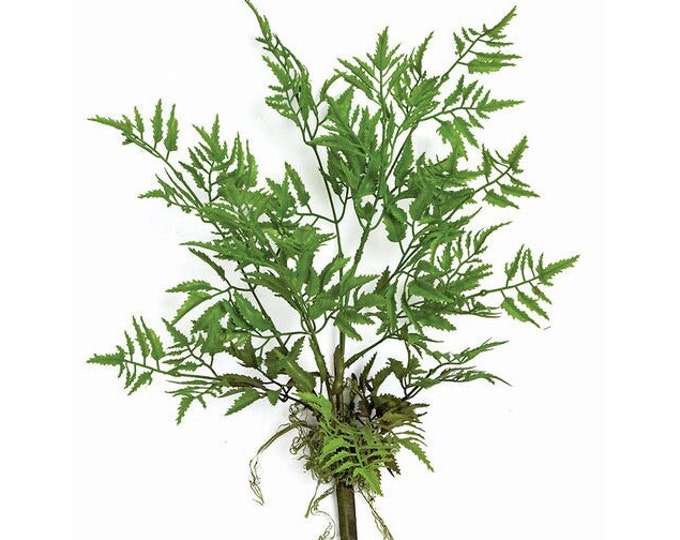 20" Natural Touch Fern Leaf Aralia Spray with Roots