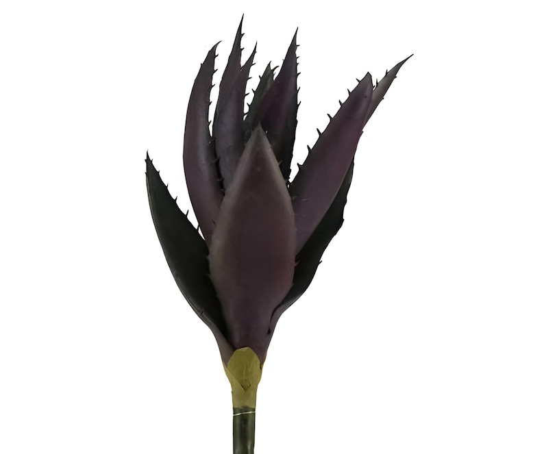 K&ouml;nnte beinhalten: Eine einzelne k&uuml;nstliche, violette Sukkulente mit einem braunen Stiel.