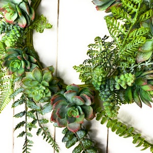 20" Mixed Fern & Succulent Greenery Wreath for Front Door/Indoor Wall-Spring/Summer/Everyday-DIY Wreath Base-Wreath Supply-Floral Supply