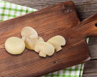Faux Mushrooms Set of 5