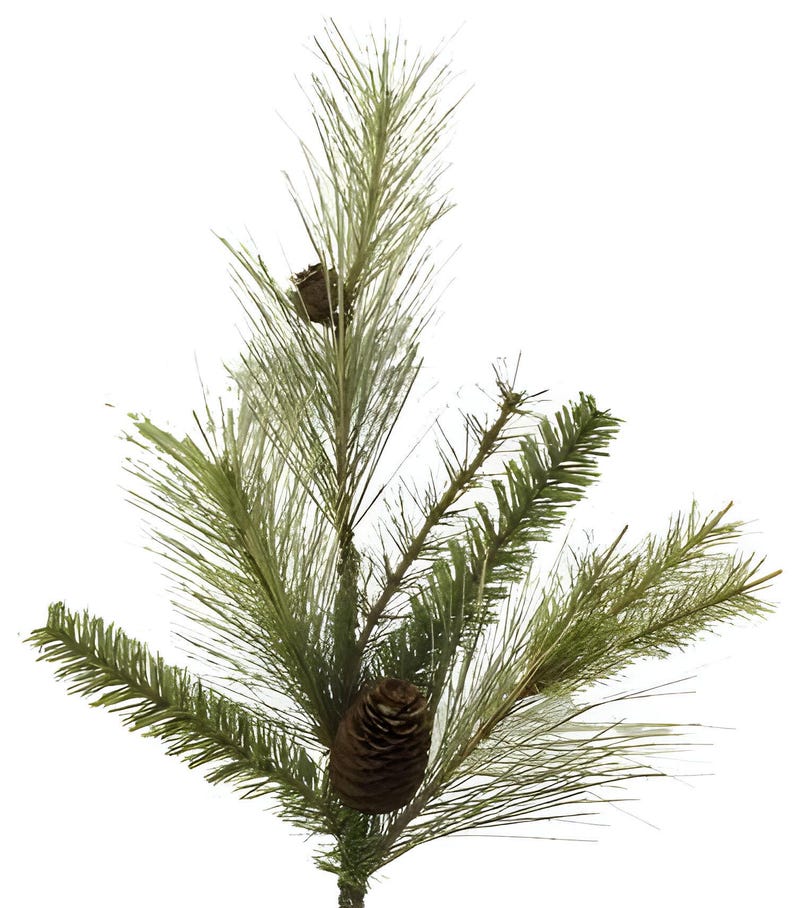 May include: A close-up of a faux pine branch with long, thin, light green needles and a brown pine cone. The branch has several smaller, darker green sprigs. The background is white.