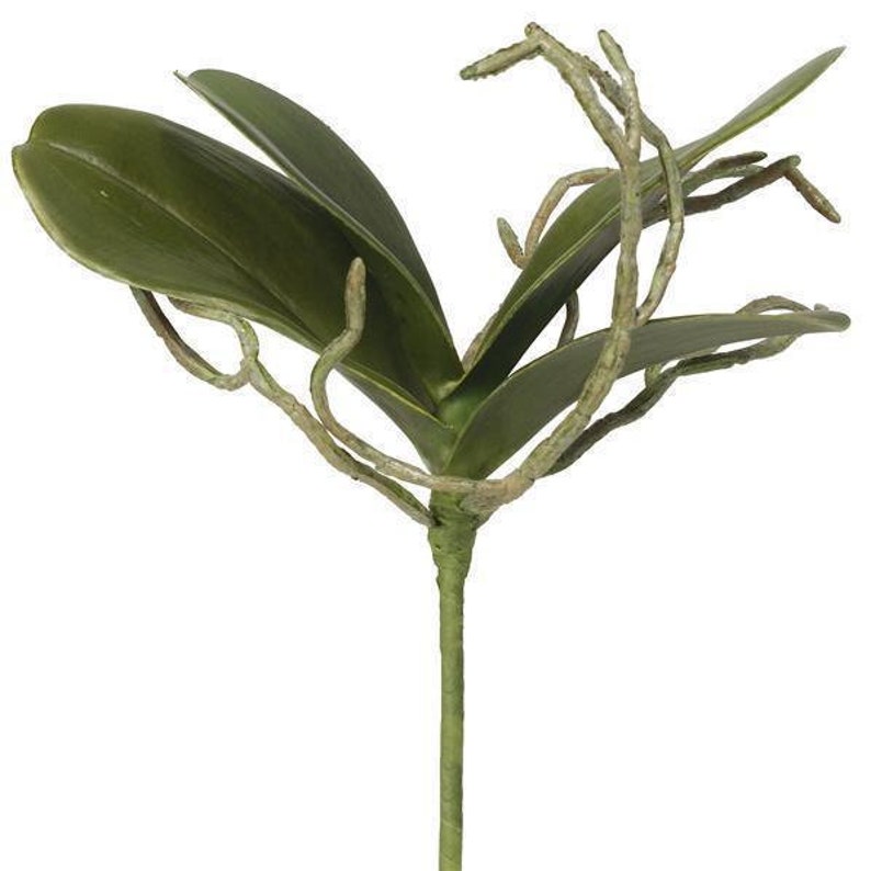 Artificial Orchid Leaves/stem With Realistic Bare Rootsfaux Etsy