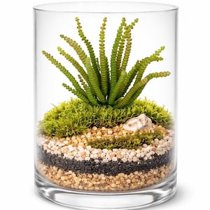Artificial Crassula Succulent Plant on Stem - 4.5"