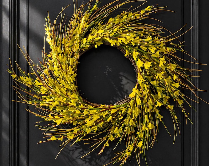 Forsythia Wreath, Spring or Summer Wispy Floral Front Door Decor - 22"