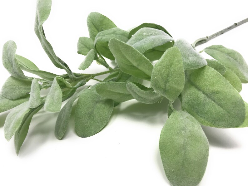 27 Lambs Ear Greenery Spray/stem/sprayartificialsage Etsy
