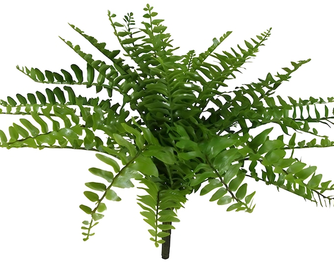 Choose 12 or 14" Boston Fern Plant Bush, Artificial Plant, Everyday Greenery for Vase Filler Planter Filler Floral Supply