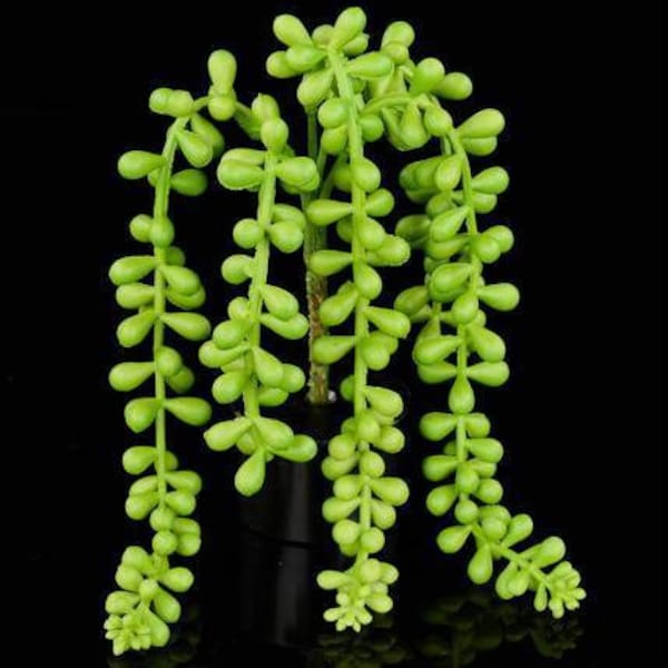 11" Faux Outdoor UV Baby's Tears Trailing Succulent Plant