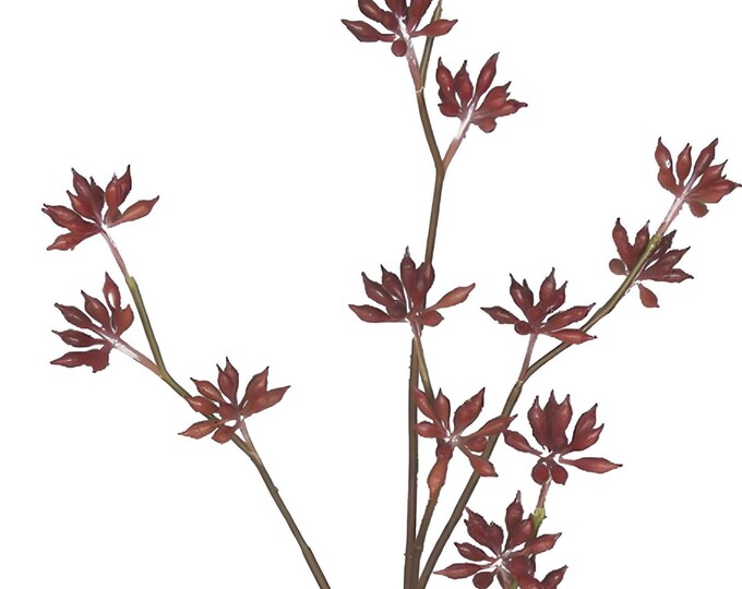 Tall Faux Eucalyptus Bud Branch Stems - 33"