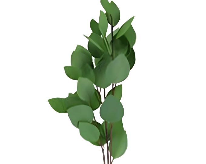 31"L Heart Eucalyptus Stems, Greenery Stems, Everyday Vase Filler