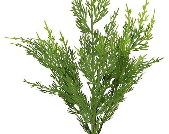 19" Faux Juniper Spray on Stem - Christmas or Winter Greenery