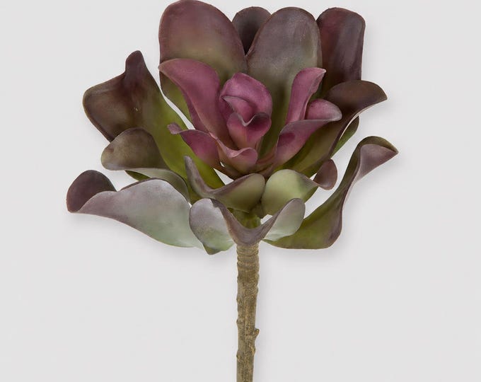 Artificial Echeveria Succulent Stem - Frosted Green and Burgundy Natural Touch Plant