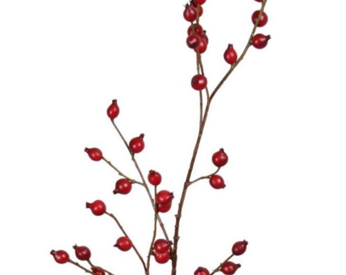 Scarlet Rose Hip Branch Stems - 34"