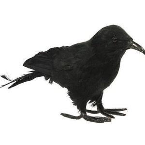 7,5 pouces 20 pouces 8,5 ou 10 pouces plumes artificielles corbeau/corbeau oiseau noir/figurine automne couronne d'Halloween accessoire embellissement