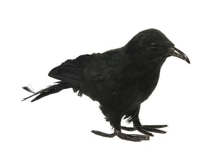 7.5" 8" 8.5" or 10" Artificial Feather Crow/Raven Black Bird Figurine/Figure-Fall Halloween Wreath Attachment Embellishment Accent Supply
