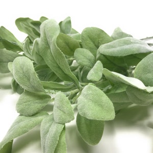 27"  Lambs Ear Greenery Spray/Stem/Spray-Artificial-Sage Green-Floral/Vase/Bouquet Filler-Farmhouse Greenery/Decor-Floral Supply