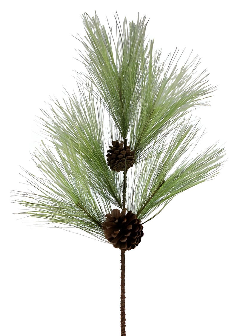 May include: Artificial pine branch with two brown pine cones. The branch features long, thin, light green needles and a textured brown stem. Ideal for holiday or seasonal decor.