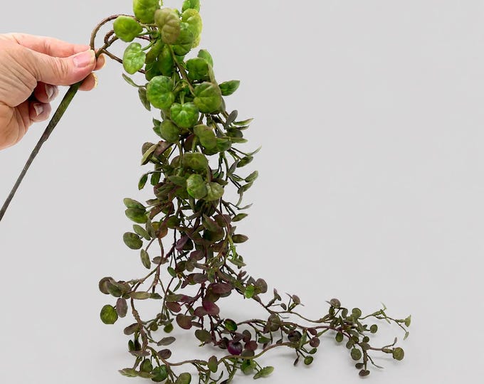 Hanging Dischidia Vine, Faux String of Nickels, Trailing Succulent Plant Decor - 24"