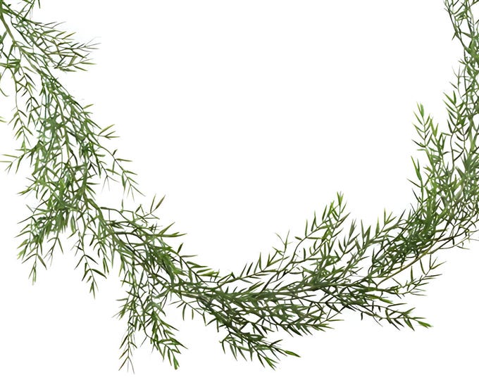 6 FT Faux Dill Leaf Greenery Garland