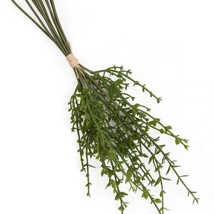 Puede incluir: Un manojo de tallos de vegetaci&oacute;n artificial verde atados con cuerda. Los tallos son largos y delgados con peque&ntilde;as hojas verdes.